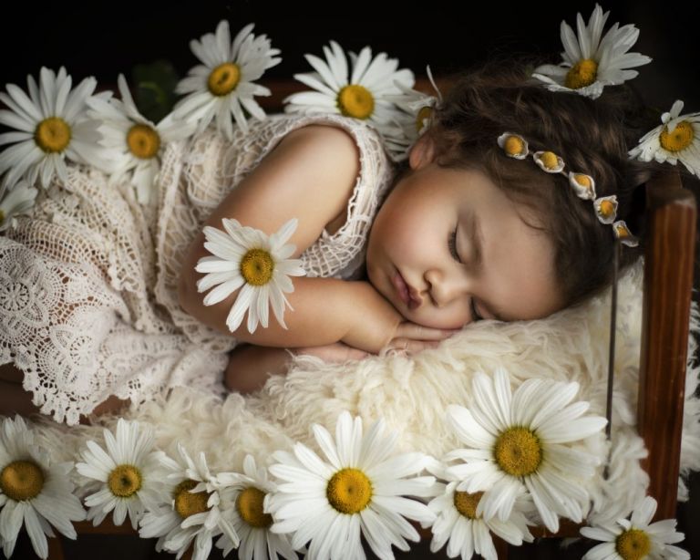 Sleeping Toddler Photos